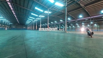 CHO THUÊ KHO XƯỞNG LONG AN – NHẬN NGÀNH HÓA CHẤT, XI MẠ