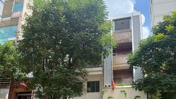 Bán nhà Lê Thị Hồng Gấm Quận 1, 4x19m, 5 tầng, giá 60 tỷ