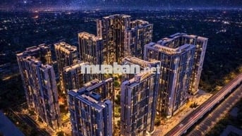 Vin Cao Xà Lá vị trí Kim Cương trong lòng thủ đô