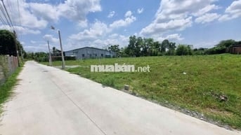 Đất thổ cư gần KCN Hiệp Thạnh. 5x29 full thổ. 420tr