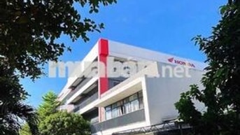 BÁN NHÀ BIỂN CHÍNH CHỦ CẦN BÁN NHANH 
