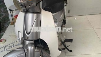 Cub bạc trắng