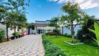 Chơi tài xỉu 🎲 bể nợ nên chủ cần gấp căn nhà vườn 600 triệu giá 596