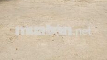 🔥HOT! LÔ ĐẤT 80m2 Đại Tảo,Xuân Giang Siêu Đẹp như Tranh Vuông Vắn 