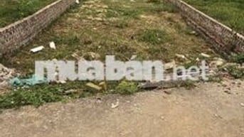 🍀 🍀 Bán 141m2 Đất Đồng Trầm, Tiên Dược – Ô Tô đỗ cửa, gần Trục Chính