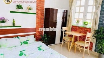 Sang 21P 21WC Có Thang Máy 13Th Hoàn Vốn HXH Tô Hiến Thành Q10