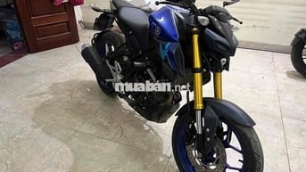 MT15 2023