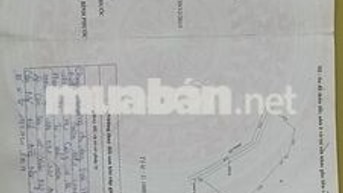 Cần bán đất vườn giá rẻ tại Đồng Tiến, Đồng Phú, Bình Phước