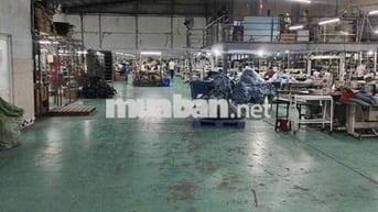 Cho Thuê Kho Xưởng Tân Thới Hiệp Quận 12