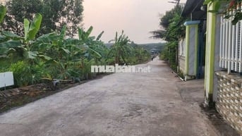 Đất Nền Gần Sân Bay Long Thành & KCN Long Đức