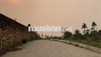 vỡ nợ cần bán nhanh lô đất. tặng khách mua 1 chỉ vàng