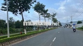 Đất Thổ cư mặt tiền Cây Thông Trong