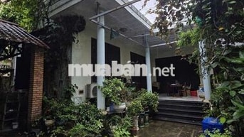 CHO THUÊ NHÀ KIỆT 700M2 KIỆT NGUYỄN PHƯỚC NGUYÊN