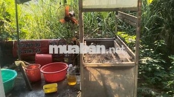 cần sang quán ăn vặt trứng nướng muối ớt