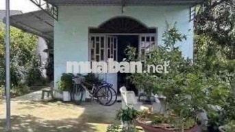 Chơn Thành . Chủ Kẹt tiền cần thanh lý  cân nhà vườn 1000m2
