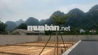 BÁN ĐẤT LIÊN SƠN – SÁT HÀ NỘI 80m² FULL THỔ CƯ  Ô TÔ TRÁNH x 600TR