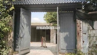 Nhà vườn sân rộng rãi, 8*20m 2pn gần ngã ba giồng. hẽm đường xtt12