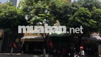 Bán nhà 4,5 tầng giá tốt Nguyễn Đức Trung,sơn mới đầu tư tốt