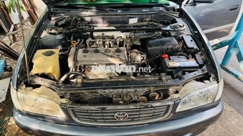 Toyota Corolla màu Xám