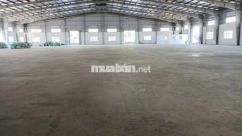 CHO THUÊ NHÀ XƯỞNG 4000M2, LONG AN – GIÁ CHỈ 2.8 USD/M2