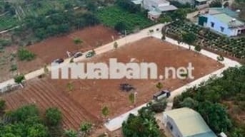 Bán Đất Nam Ban- Lâm Hà Cách Hồ Xuân Hương 20Km Chỉ 665 Triệu