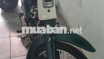 Honda Cub 81 50cc Xanh lá