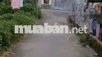 Nhà chính chủ củ chi gửi ace bán phụ