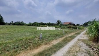 Đất thổ cư phường Gia Lộc, gần KCN Phước Đông. 128m2 giá 370tr 