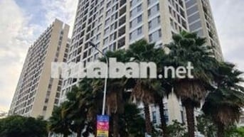 Cho thuê căn hộ 1PN 1WC 55m2 giá thuê 9tr2