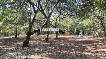 Bán đất tại ĐT 755, Bù Đăng, Bình Phước, 32,7 tỷ, 36425 m2, Hot!