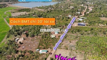 Bán Đất 10x48 Đường 16M 488TR Cách Trung Tâm BMT 30 PhúT