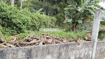 mình chính chủ bán đất Thạnh Phú