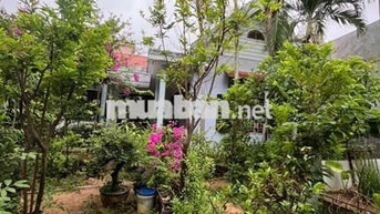 NHÀ VƯỜN 700M2, ĐẦU KIỆT OTO NGUYỄN PHƯỚC NGUYÊN, GẦN HÀ HUY TẬP