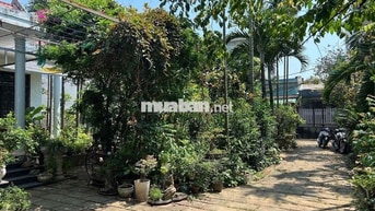 ✅ Cho thuê nhà sân vườn kiệt Nguyễn Phước Nguyên , Thanh Khê - 20tr