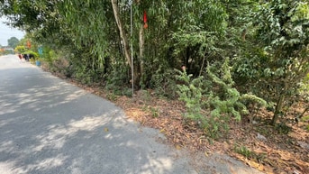 CHÍNH CHỦ BÁN ĐẤT TÂN THÀNH 36 – 408m² FULL THỔ CƯ – ĐƯỜNG NHỰA ĐẸP