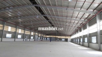 CHO THUÊ XƯỞNG TẠI ĐỨC HÒA LONG AN – CHIA NHỎ 2000M2