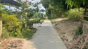 Bán nhà Cấp4 giá rẻ, Kdc Tân Thành, Đường tỉnh 908, Vĩnh Long