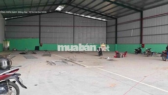 Cho thuê xưởng có PCCC,Trạm điện 400kva long thành
