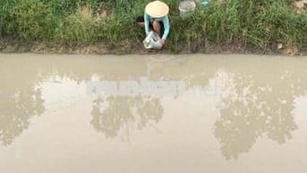 3390 m2 - farm sẳn lập vườn cay ăn trái