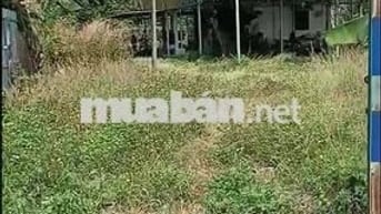 CHO THUÊ KHO XƯỞNG CAO RÁO TRÊN ĐẤT 1700M2 - ĐIỆN 3 PHA - NƯỚC MÁY