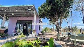 Nhà Vườn Siêu Thoáng Dọn Về Ở Ngay