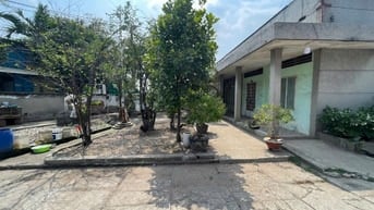 Cho thuê xưởng Đường Nhánh Phan Huy Ích, Gò Vấp_Diện tích: 3.600m² 