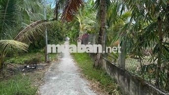 Đất vườn Sơn Đông 1000m2 – đường bê tông – giá tốt cần bán nhanh