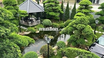 Đất nền dự án bán tại Khu đô thị Mạnh Hùng, giá thỏa thuận, 92m2