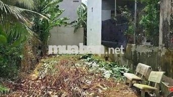 BÁN GẤP ĐẤT ĐƯỜNG SONG HÀNH TÂN HIỆP HUYỆN HÓC MÔN 100M2 GIÁ 1TỶ6 SHR