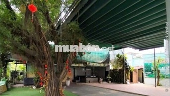 CHO THUÊ MẶT BẰNG PHƯỜNG TÂN PHONG GIÁ 20 TRIỆU