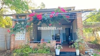 Nhà Đẹp Vườn Rộng Đồng Nai mới
