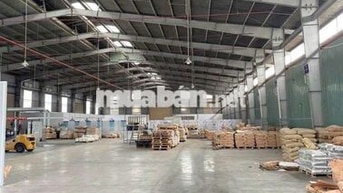 #TT: CHO THUÊ XƯỞNG SẢN XUẤT – KCN SÓNG THẦN 3, BÌNH DƯƠNG
