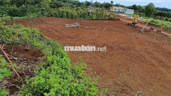 BÁN ĐẤT MẶT TIỀN KM7 - GẦN CHỢ 312, DAKMIL 1,2hec