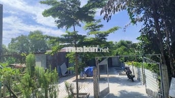 Bán đất Củ Chi (xã Phước Vĩnh An cũ) thổ cư hết đất, tặng nhà